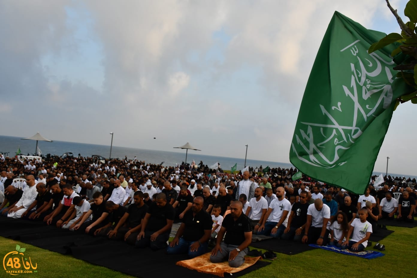 WhatsApp Image 2023-06-28 at 5.41.27 PM (1).jpeg